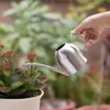 Pulverizadores de aço inoxidável rega pote jardinagem vaso pequeno regador interior suculento longo rega flor chaleira 500ml # cw 231010