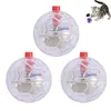 Cat Toys 3pcs Football Shape LED Flashing Ball Touch Motion Light Up Pet Toy Gift Play Battery Powered Indoor Outdoor Clear Plastic Fun 231011