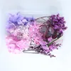 Decorative Flowers 1Box Real Natural White Dried Plants For Epoxy Resin Mold DIY Candle Making Accessories Crafts Home Wedding Decoration