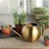 Pulverizadores 1L de aço inoxidável rega pote jardinagem vaso pequeno regador com alça para regar plantas flor ferramenta de jardim 231010