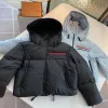 24SS Veste d'extérieur pour femme à capuche veste courte designer Lady Parka manteau veste coupe ajustée courte zippée épaissie chaude