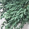 Kwiaty dekoracyjne Prawdziwa naturalna roślina eukaliptus suszone zielone liście domowe dekoracja świąteczne na zewnątrz przyjęcie kwiatowe DIY