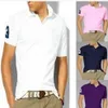 MENS DESIGNER POLOS MEN T-SHIRT Märke Small Horse Crocodil Embroidery Clothing Fashion Tyg Letter Polo Shirts Collar Casual Te2835