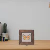 Cadres boîte à spécimens d'insectes, images en verre, présentoir Shadowbox, support en bois