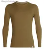 Men's Thermal Underwear 100% Merino Wool Men Base Layer Top 250G Merino Wool Midweight Crew Shirts Long Sleeve Thermal Underwear Top Everyday BaselayerL231011