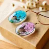 Pendant Necklaces 1PC Oval Glass Real Dried Flower Long Necklace For Women Girl Statement Tree Of Life Charm Jewelry