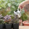 Pulverizadores de aço inoxidável rega pote jardinagem vaso pequeno regador interior suculento longo rega flor chaleira 500ml # cw 231010