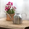 Pulverizadores de aço inoxidável rega pote jardinagem vaso pequeno regador interior suculento longo rega flor chaleira 500ml # cw 231010