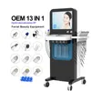 Professionele 13 in 1 fractionele RF-huidverstrakkingsmachine Hydra Peel Dermabrasie Gezichtsreiniging Schil Zuurstof Jet Schoonheidsapparaat