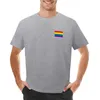 Herenpolo's Gay Pride-vlag - Minimalistisch T-shirt Sneldrogende esthetische kleding Effen zwarte T-shirts heren