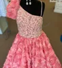 3D Flowers Girl Pageant Dress 2024 Floral Puff Sleeve Beading Bodice Little Kids Fun Fashion Runway Cocktail Party Drama Gown Toddler Teen Preteen Young Miss Rachel