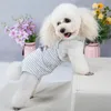 Cão vestuário unisex pet calças fisiológicas roupa interior roupas filhote de cachorro fralda cinta briefs feminino calcinha sanitária shorts suprimentos 231011