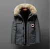 メンズダウンパーカーカナディアングース冬のコート厚い暖かいジャケット作業服屋外の肥厚されたムースカップル高品質7441