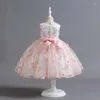 Kız Elbiseler Bebeğin Doğum Günü Elbisesi Kelebek İşlemeli Mesh Çocuk Düğün Pembe Paggy Prenses