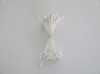 Flores decorativas Sugar Flower Art Branco especial pode tingir 300pcs estames