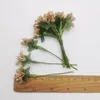 Decoratieve bloemen Gesimuleerde ster-arendbloembundel Materiaal Bruidskern DIY-ring 12 per