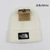 North Designer Hat Luxury Top Quality Leisure Hat Sticked Hat Wool Hat Warm Winter Hat Special Cold Hat Women's Hat