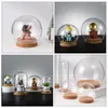 Decorative Flowers 5 Pcs Snowball Child Christmas Decorations Clear Glass Dome Transparent Cover