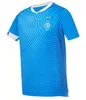 2023 2024 FC Dynamo Kyiv camisas de futebol em casa 23 24 Dynamo Kiew camisas de futebol tops 3º