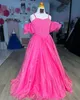 Iridescent Girl Pageant Dress 2024 Puff Sleeves Beading Organza Little Kid Fun Fashion Runway Drama Cocktail Gown Toddler Teen Preteen Miss Sherri Magenta Teal Pink