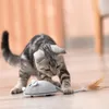 Giocattoli per gatti Giocattolo interattivo con topo per gatti Ricarica USB Ratto in movimento con giocattoli di piume Giocattolo di addestramento Play-Catch per gattini da interno Fornitura di animali domestici 231011