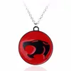 Collier Thundercats entier Anime Thunder Cats Logo pendentif en métal collier bijoux 1228c