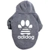 Ubrania odzieży dla psa swobodny jesień i zimowy sweter z kapturem duży średnie małe psy ubrania zwierzaka 231011