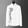 Männer Casual Hemden Europäischen und Amerikanischen Trend Long Tail Phoenix Diamant Hülse Hemd Männer 2023 Herbst Personalisierte Seide Luxus Top