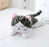 20cm 5スタイルかわいい猫のぬいぐるみ