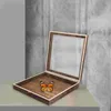 Frames Insect Specimen Box Wooden Display Stand Case Bug Dried Flowers Shadowbox Frame With Glass