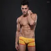 Sous-vêtements WJ / Net Sous-vêtements pour hommes taille basse trou de maille de glace respirant boxer hommes en été