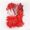 Decorative Flowers Mixed Natural Dried Material Diy Art Floral Decors Collection Gift Craft Home Decoration Pressed Dhvxq