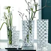 Wazony europejski kryształowy szklany stół wazon Dracaena Sanderiana Kwiatowy Dekoracja salonu