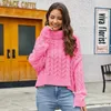 Women's Sweaters Turtleneck White Color Pullovers Sweater Full Sleeves Loose Crop Tops Short Jumpers Clothes