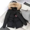 Jaquetas masculinas canadenses novas, parkas, roupas de trabalho de inverno, jaqueta canda ganso, moda externa espessada, quente, mantendo cannada ganso 318