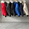 Designer płaszcz klejenia kanadyjska kamizelka kamizelka puffer zimowa płaszcz męski damska moda zagęszcza ciepło, swobodny unisex zimowy futra z kapturem