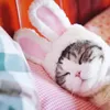 Cat Costumes Funny Cat Dog Headgear Costume Cap Rabbit Bunny Plush Hat Performance Headdress Ear Cosplay Po Party Shitzu Spitz Accessories 231011