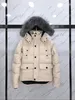 최고 품질의 디자이너 02 04 06 캐나다 구오스 재킷 NFC 겨울 겨울 내 다운 아웃 도어 레저 코트 바람 방풍 상위 새로운 남성 캐주얼 방수 눈 증거 다운 재킷 A100
