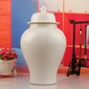 Bottiglie Vaso da tempio in ceramica antica di porcellana Jingdezhen Vaso all'ingrosso personalizzato Ginger