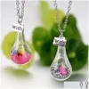 Anhänger Halsketten Wish Floating Bottle Halskette Getrocknete Blumenanhänger Frauen Halsketten Float Medaillon Living Modeschmuck Wille und Jude Dh9Sp