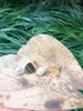 Orecchini pendenti Perla barocca d'acqua dolce naturale S925 Orecchini con perno in argento con ECO Ottone 14k Gioielli di moda in oro riempito per le donne GIACINTO