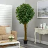 Декоративные цветы Фикус Искусственное дерево Устойчивость к ультрафиолетовому излучению (в помещении/на открытом воздухе)