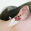 Dingle örhängen stor lyxig gåva för kvinnliga tillbehör fransar stora strass långa smycken droppe örhänge