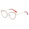 Lunettes de soleil 2023 Lunettes optiques surdimensionnées Cadres Lunettes transparentes Anti-lumière bleue Dames Cat Eye Marque Designer