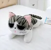 20cm 5スタイルかわいい猫のぬいぐるみ