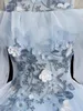 Fariy Light Sky Blue Prom Dresses Ball -klänning Aftonklänningar Floral Appliuque Open Back Party Quinceanera klänningar