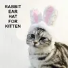 Kattdräkter roliga katt hundhuvudbonad kostym cap kanin kanin plysch hatt prestanda huvudbonad öron cosplay po party shitzu spitz tillbehör 231011