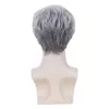 Cosplay Perruques Gres Hommes Blanc Gris Ombre Perruques Style De Mode Respirant Homme Cheveux Synthétiques Naturel Court Perruque Haute Température Fiber 231011