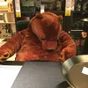 Pluszowe lalki 40 cm 100 cm Symulacja Djungelskog Brown Bear Giant Teddy Toy Pchasze Zwierzęta Miękka poduszka dziewczyna dla dzieci Prezent urodzinowy 231012