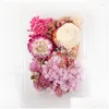 Decorative Flowers Mixed Natural Dried Material Diy Art Floral Decors Collection Gift Craft Home Decoration Pressed Dhvxq